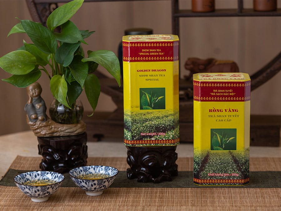 Trà shan tuyết Tây Bắc là giống chè hiếm