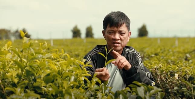 Nghệ nhân làm trà 20 năm