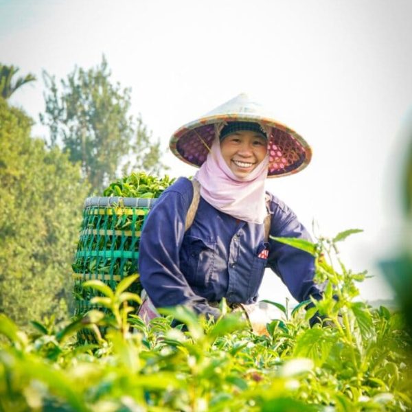 tea-world-6-10-683x1024